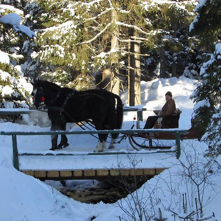 Koliba Ski Gruniky Sihelné Εξωτερικό φωτογραφία